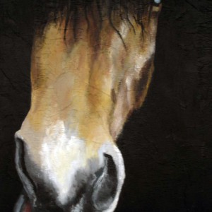 100% Horse: Balder. Maleri av Elisabeth Berggren Hansen