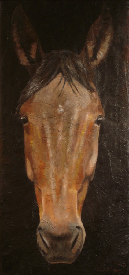 100% Horse: Sugar Pride. Maleri av Elisabeth Berggren Hansen