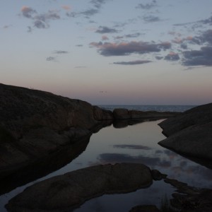 Rakke - fotografi av Elisabeth Berggren Hansen