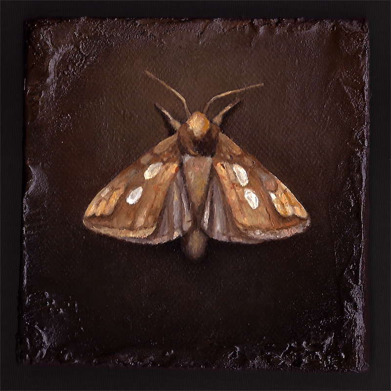The Golden Moth, oljemaleri av Elisabeth Berggren Hansen