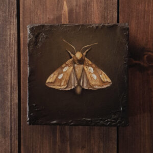 The Golden Moth, oljemaleri hengende på vegg av Elisabeth Berggren Hansen