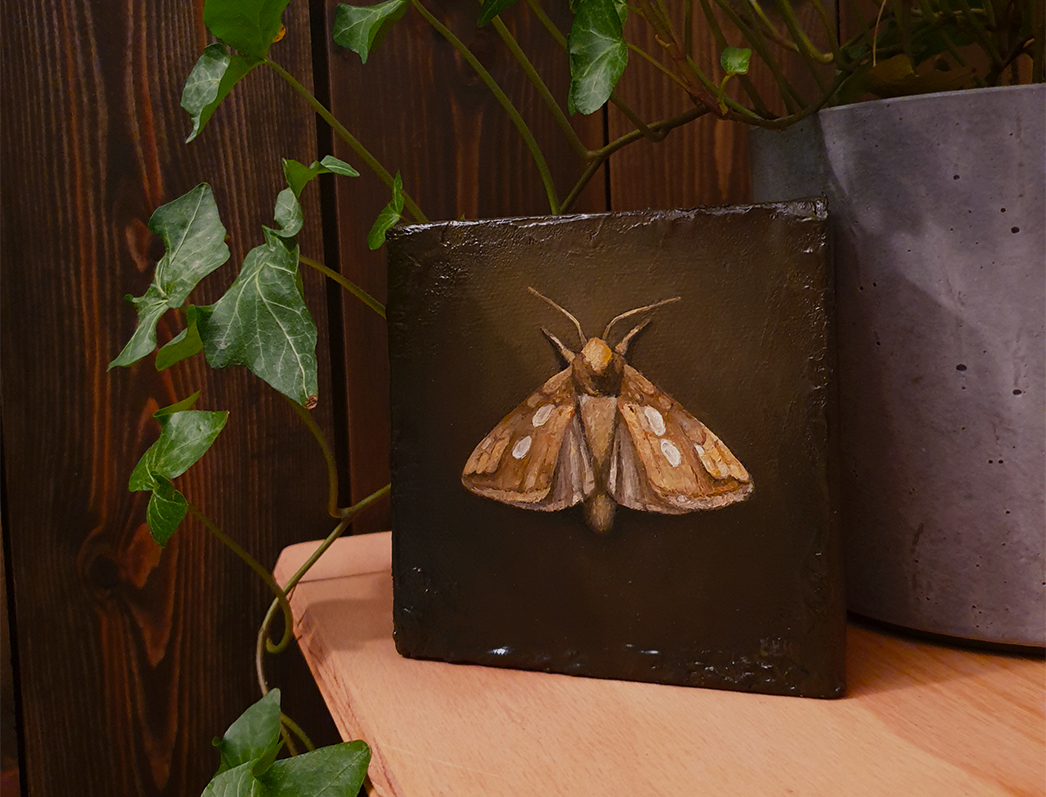 The Golden Moth, oljemaleri av Elisabeth Berggren Hansen